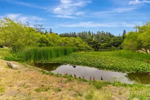 141 Recreation Dr, La Honda, CA 94020 - Photo 31