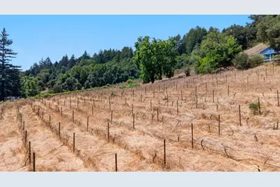 4180 Glenwood Dr, Scotts Valley, CA 95066 - Photo 21