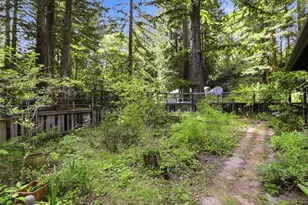 11785 E Zayante Rd, Felton, CA 95018 - Photo 43