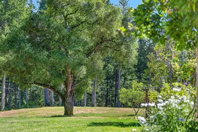 310 Winter Creek Rd, Santa Cruz, CA 95060 - Photo 51