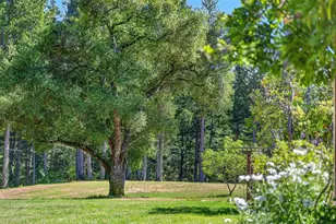 310 Winter Creek Rd, Santa Cruz, CA 95060 - Photo 51