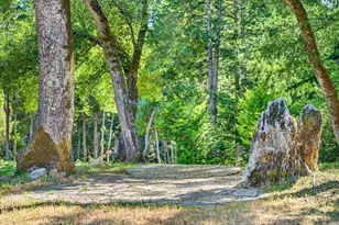 310 Winter Creek Rd, Santa Cruz, CA 95060 - Photo 47