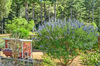 310 Winter Creek Rd, Santa Cruz, CA 95060 - Photo 45