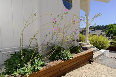 31 Dunslee Way, Scotts Valley, CA 95066 - Photo 61