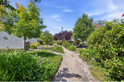 3355 Kimberly Way, San Mateo, CA 94403 - Photo 43