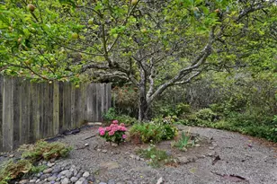 47 Buffalo Ct, Pacifica, CA 94044 - Photo 39