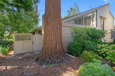 19626 Vineyard Ln, Saratoga, CA 95070 - Photo 5