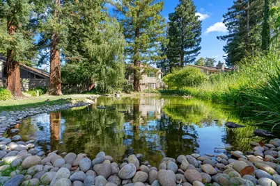 19626 Vineyard Ln, Saratoga, CA 95070 - Photo 37