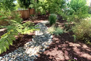 1672 Branham Park Pl, San Jose, CA 95118 - Photo 21
