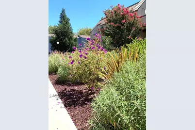 1672 Branham Park Pl, San Jose, CA 95118 - Photo 25