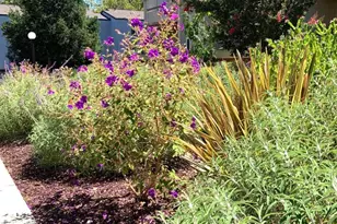 1672 Branham Park Pl, San Jose, CA 95118 - Photo 25
