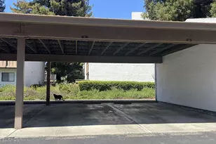 2201 Monroe 502, Santa Clara, CA 95050 - Photo 9