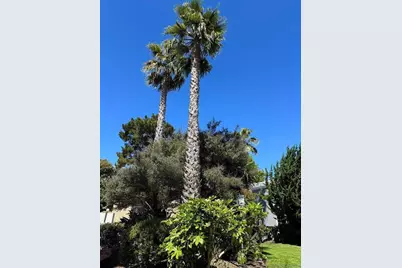 133 Piccadilly Pl H, San Bruno, CA 94066 - Photo 29