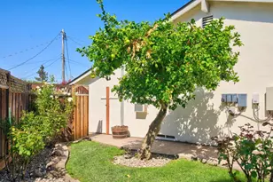 177 Cassandra Pl, San Ramon, CA 94583 - Photo 61