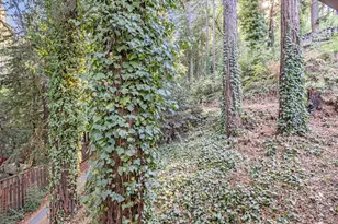 1045 Forest Way, Brookdale, CA 95007 - Photo 29