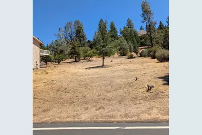 773 Dogwood Dr, Murphys, CA 95247 - Photo 3
