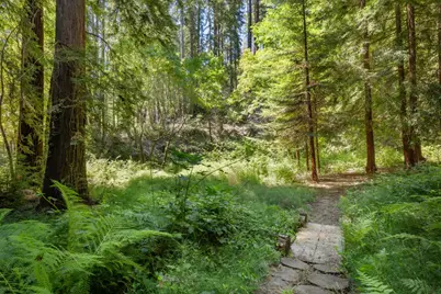 14515 Big Basin Way, Boulder Creek, CA 95006 - Photo 37