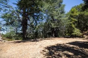 11450 Summit Wood Rd, Los Altos Hills, CA 94022 - Photo 9