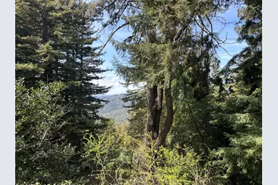 50 Old Orchard Rd, Los Gatos, CA 95033 - Photo 45