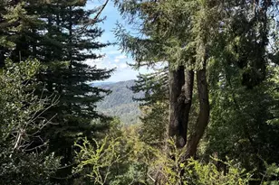 50 Old Orchard Rd, Los Gatos, CA 95033 - Photo 45