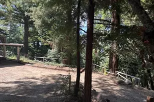 50 Old Orchard Rd, Los Gatos, CA 95033 - Photo 63