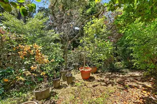 324 Jaunell Rd, Aptos, CA 95003 - Photo 47