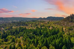 4 Glen Alpine Ave, Mount Hermon, CA 95041 - Photo 67