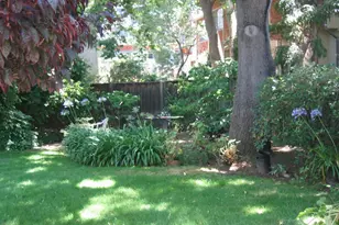 837 Cowper St, Palo Alto, CA 94301 - Photo 29