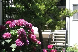837 Cowper St, Palo Alto, CA 94301 - Photo 25