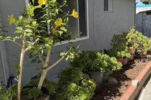 2131 Main St, Santa Clara, CA 95050 - Photo 9