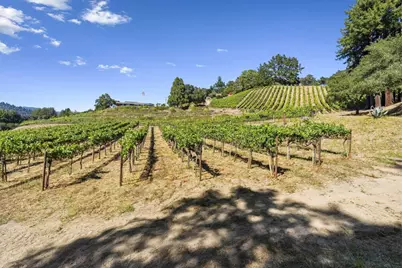 50 Magnifico Vita Ln, Watsonville, CA 95076 - Photo 55