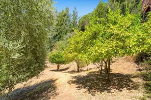 220 Whippet-Run, Corralitos, CA 95076 - Photo 59