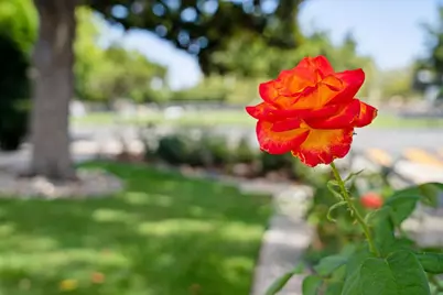1625 Parkside Ave, San Jose, CA 95125 - Photo 41