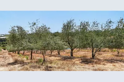 211 Smith Rd, Watsonville, CA 95076 - Photo 67
