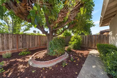 6186 Silberman Dr, San Jose, CA 95120 - Photo 53