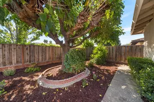 6186 Silberman Dr, San Jose, CA 95120 - Photo 53