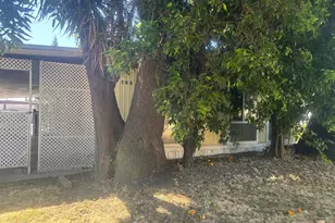 162 Kona Circle 162, Union City, CA 94587 - Photo 21