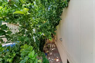 1850 Evans Ln 22, San Jose, CA 95125 - Photo 25