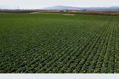 San Jon Rd, Salinas, CA 93907 - Photo 3