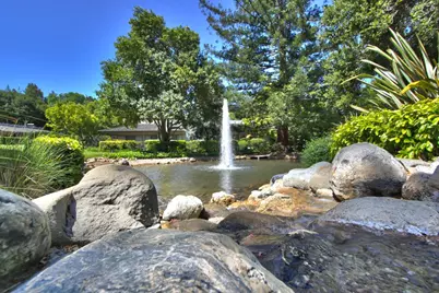 65 Bay Tree Ln, Los Altos, CA 94022 - Photo 43