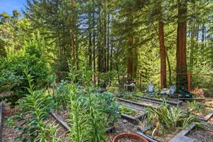 230 Orman Rd, Boulder Creek, CA 95006 - Photo 63