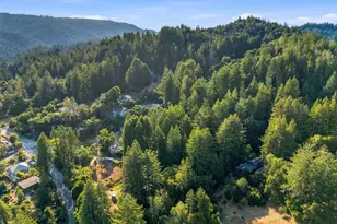 230 Orman Rd, Boulder Creek, CA 95006 - Photo 87