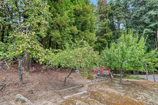 917 Scenic Dr, Felton, CA 95018 - Photo 25