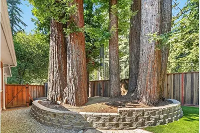 7720 Highway 9, Ben Lomond, CA 95005 - Photo 45