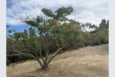 36000 Mt Madonna Rd, Morgan Hill, CA 95037 - Photo 17