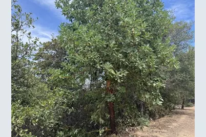 36000 Mt Madonna Rd, Morgan Hill, CA 95037 - Photo 15