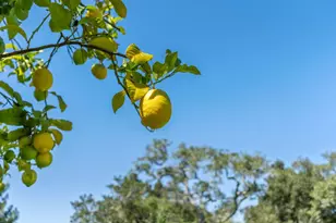 999 N Rodeo Gulch Rd, Soquel, CA 95073 - Photo 93