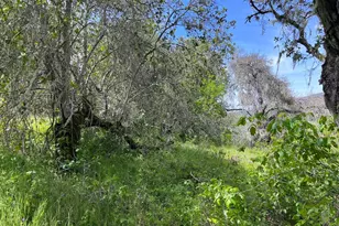 33446 E Carmel Valley Rd, Carmel Valley, CA 93924 - Photo 1