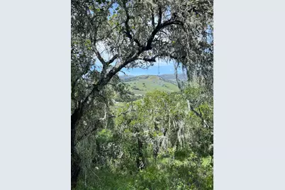 33446 E Carmel Valley Rd, Carmel Valley, CA 93924 - Photo 5