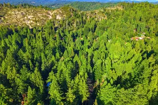 145 Brook Ln, Boulder Creek, CA 95006 - Photo 49